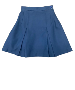 Navy Pleated Skirt